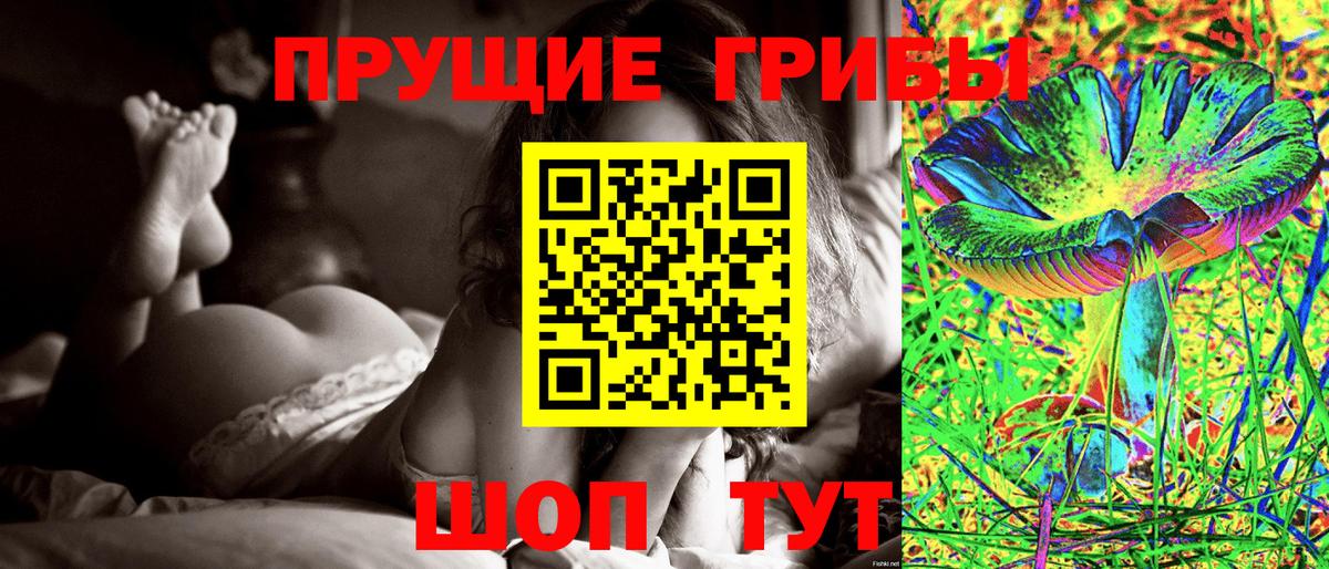 Тара  Псилоцибиновые грибы Cubensis  где купить наркоту  Вход с VPN  Галлюциногенные грибы мицелий 