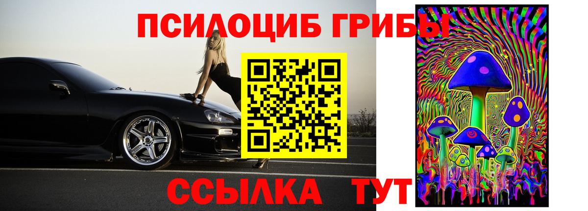 Псилоцибиновые грибы Psilocybe Тара
